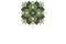 Untitled design